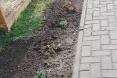 0e7b33d9-bdef-4024-b3ba-b50f82e3fff3