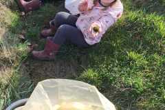 32a5d954-c6b5-4325-88a3-de79cf1f1d94