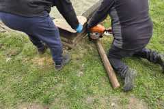 6964a671-b5b7-4542-bd63-515187195b03