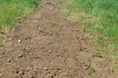 WhatsApp-Image-2023-07-14-at-15.16.34