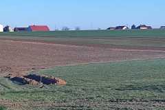 WhatsApp-Image-2025-03-19-at-08.43.33