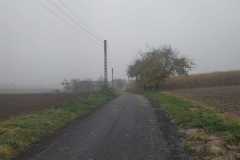 0d6e87ff-16e6-42ff-8d13-e7ddb5338609