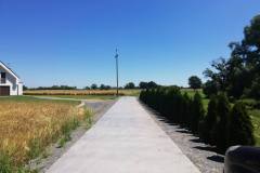 106333619_910588949455195_5834086414701129880_n