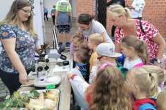 3f43b328-d498-4391-ace6-bd7ac18d0dd1