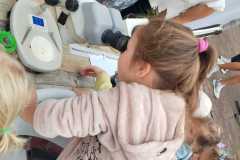 WhatsApp-Image-2023-09-25-at-09.34.19