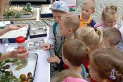 d55ea2f5-fd87-4eae-a6fc-8ae36ff0c0b6