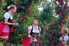 K-Rzepka-M-Niedzwiedzka-Sara-C