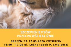 Żółta Prosta Wyprowadzacz Psów Ulotka - 1