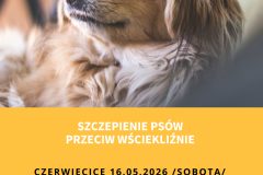 Żółta Prosta Wyprowadzacz Psów Ulotka - 1