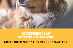 Żółta Prosta Wyprowadzacz Psów Ulotka - 1