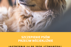 Żółta Prosta Wyprowadzacz Psów Ulotka - 1