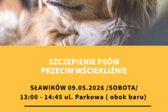Żółta Prosta Wyprowadzacz Psów Ulotka - 2