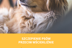 Żółta Prosta Wyprowadzacz Psów Ulotka - 1