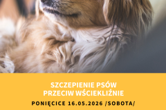 Żółta Prosta Wyprowadzacz Psów Ulotka - 1