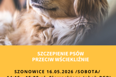 Żółta Prosta Wyprowadzacz Psów Ulotka - 1