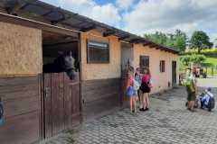 PHOTO-2021-07-07-13-08-02