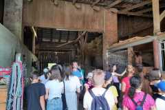 PHOTO-2021-07-07-13-08-02_1