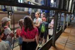 PHOTO-2021-07-07-13-08-02_4