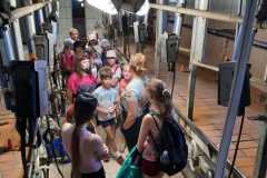 PHOTO-2021-07-07-13-08-03_1