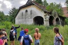 PHOTO-2021-07-07-13-08-03_2