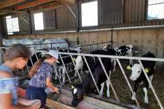 PHOTO-2021-07-07-13-08-04_1