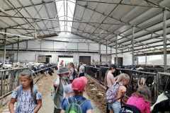 PHOTO-2021-07-07-13-08-04_3