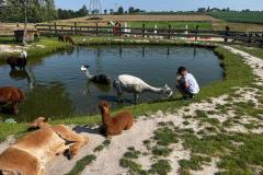 d8a2a2c2-de3b-43c8-a475-c61a67c4957f