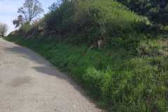 106984310_106048387839933_4291185319326936996_o