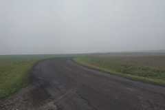 2bb74b18-0c64-4967-94c1-6de99fd5d88f