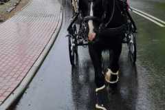 33485bda-1862-4dae-8bbd-a3d5e3113233