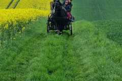 63ac4c0f-0324-4fe0-8567-9f95e9d69732