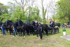 90133cc4-1b51-4579-b220-c5581ae3544b