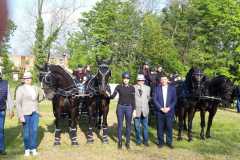 e0394e42-8b2d-401d-972e-33544c8d9720