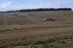 116346304_126676532443785_604318521281733678_o