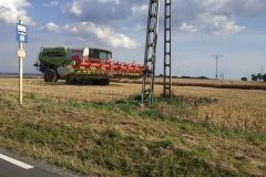 116718919_126676519110453_5732644897666799737_o