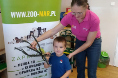 75220763_2145687539069494_8098831225168330752_n