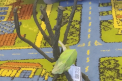 77026056_486227545317731_5620469206559490048_n